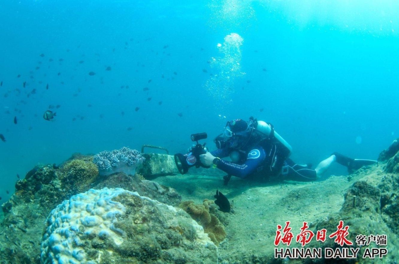 艾玛的时尚装
