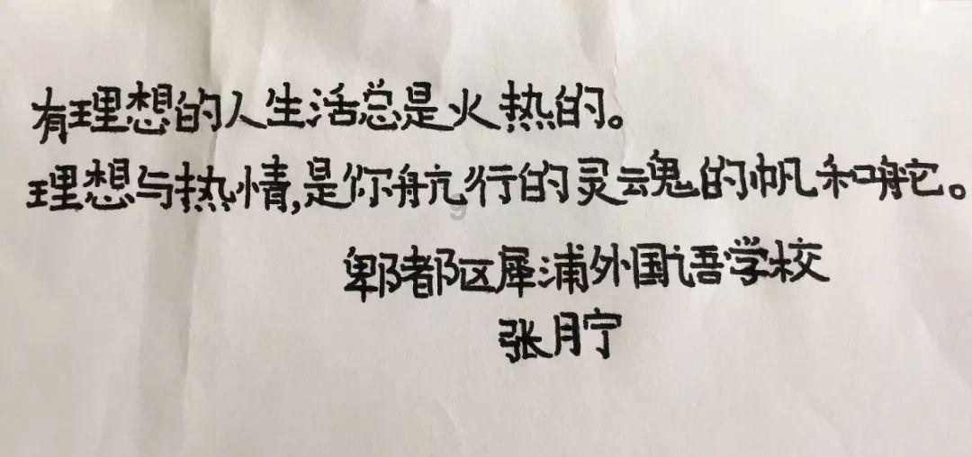 救援小肥兔
