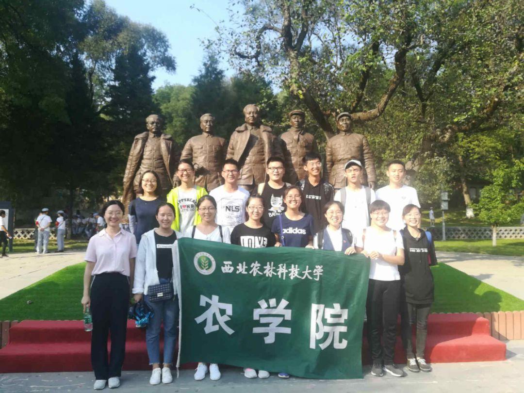 迎江区:关爱社区孤寡老人