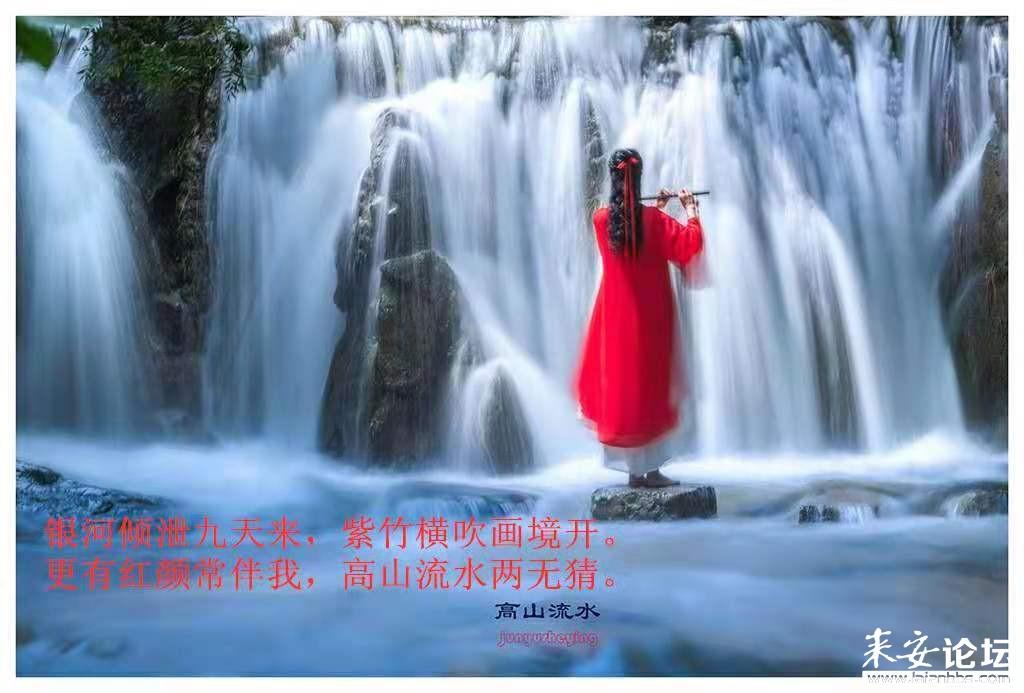 原始丛林找星星