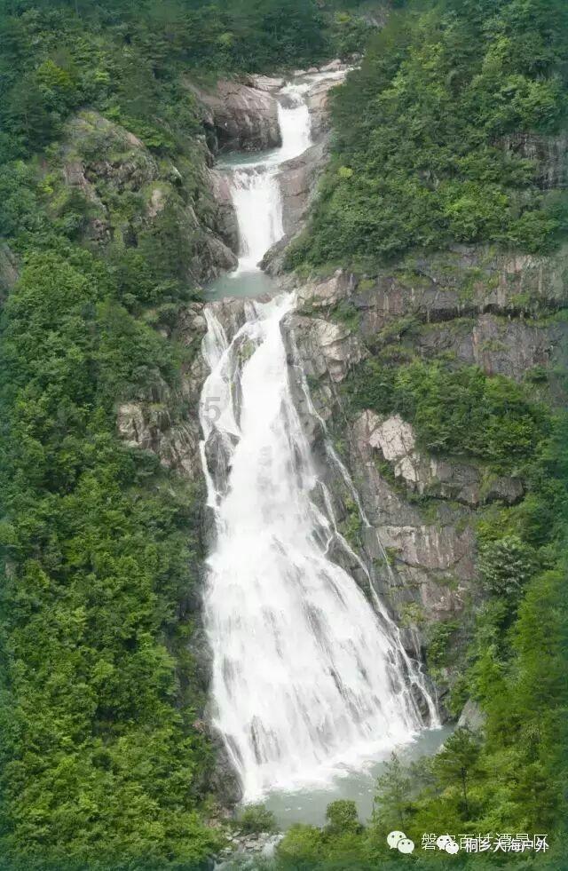 小汪汪