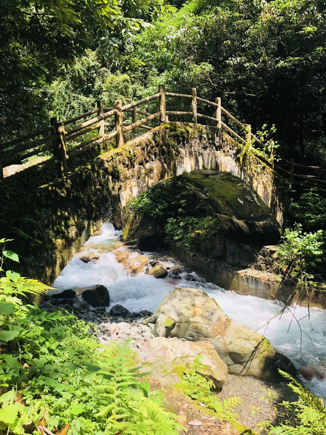逃离痛苦的房子2