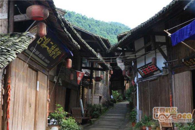 驱灵师